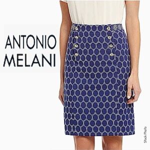 Antonio Melani Geometric Lined Pencil Skirt (14)